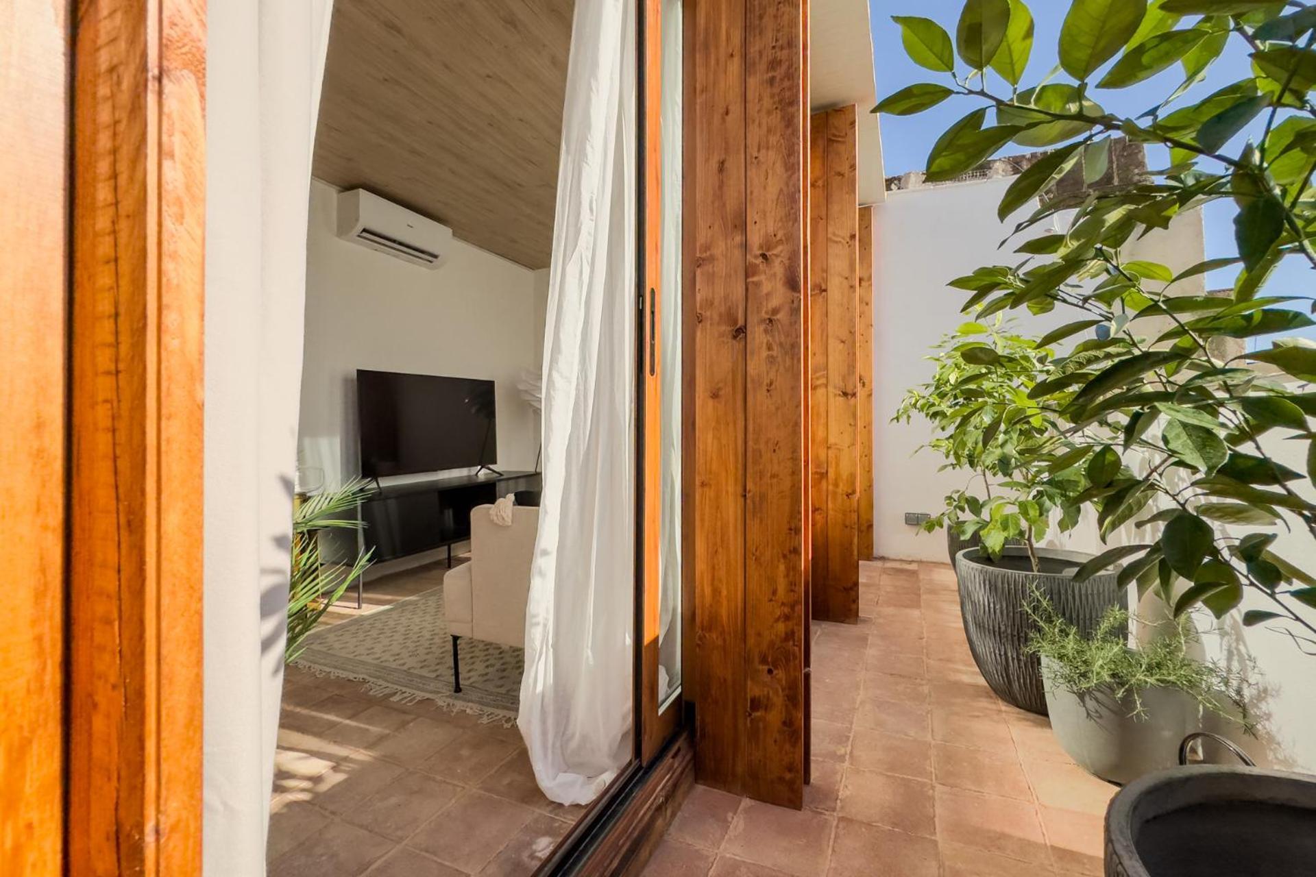 Apartamento Oasis Downtown
